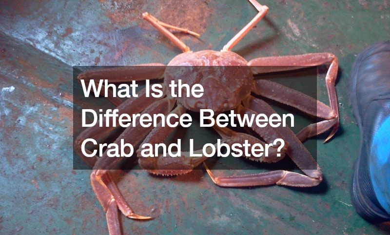 What Is the Difference Between Crab and Lobster?